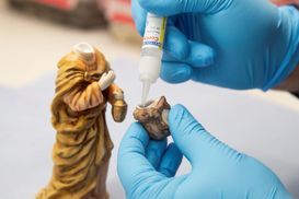 Zerbrochenes Lieblingsteil?