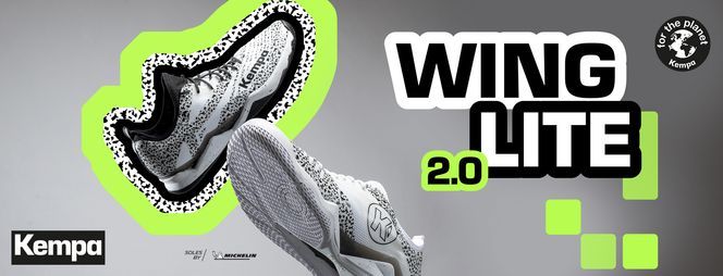 WING Lite 2.0 – the art of being fast