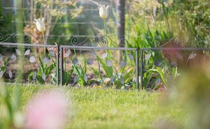 Blickfang im Garten