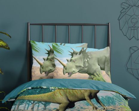 Dino Wende Bettwäsche für Kinder und Jugendliche 