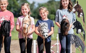 Hobby Horse Цвета(ов)