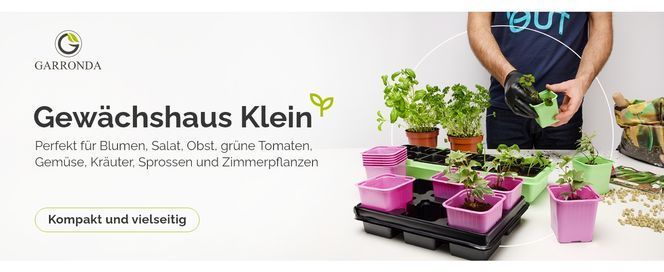 Pflanzen Anzuchttöpfe mit Untersetzer