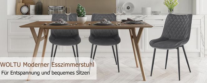 WOLTU Esszimmerstuhl