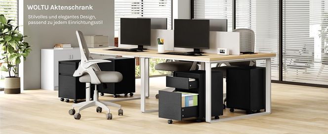 WOLTU Aktenschrank
