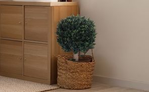 BUXUS Kunstpflanze