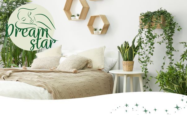 Dreamstar Simple Flex Kaltschaummatratze 