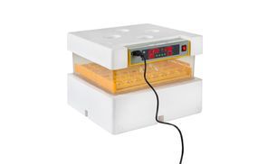 Produkteigenschaften