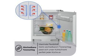  WECHSELBARER TÜRANSCHLAG