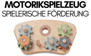 Play Repairing Gears & Nuts