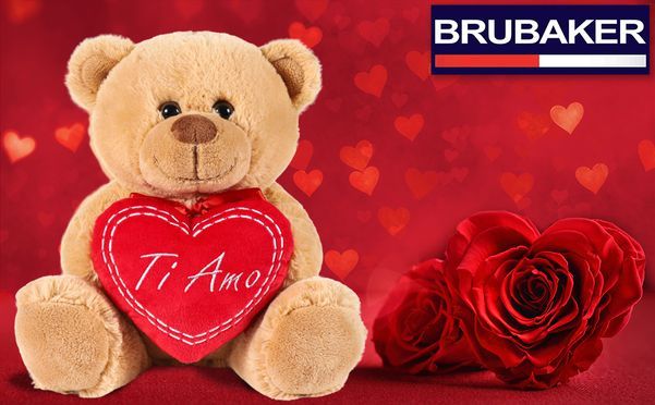 Charmanter Plüschteddy wartet auf sein neues Zuhause