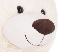 Liebevoll gefertigtes Teddy Gesicht