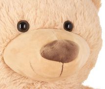 Liebevoll gefertigtes Teddy Gesicht