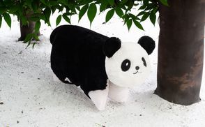 Verwandlung vom Kissen zum Kuscheltier 