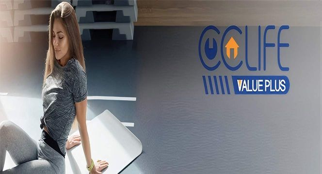 CCLIFE Sprossenwand Turnwand Gym Klettergerüst Holz