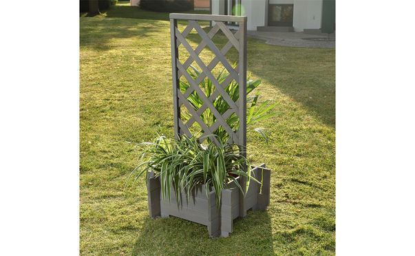 Ein Blumenkasten der besonderen Art