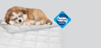 Mit Sanitized beruhigt schlafen.