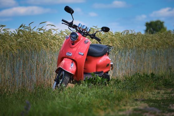 Minime Elektro: Stilvolle Leistung mit Bosch-Motor und High-Tech Features