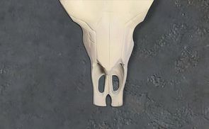 Material