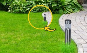 Blickfang für Balkon und Garten