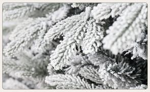 Hohe Schneebedeckung