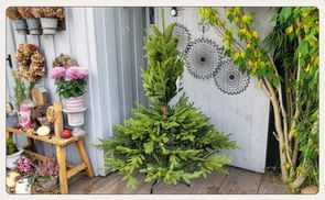 Montage des zweiten Teils des Weihnachtsbaums