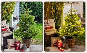 Dekoration des Baumes