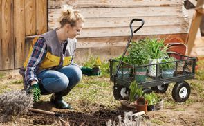 Perfekt für Pflanzen und Gartentransport