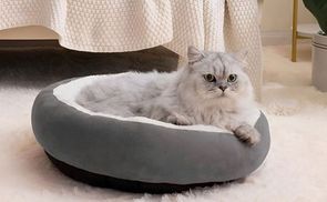 Elegantes Katzenbett