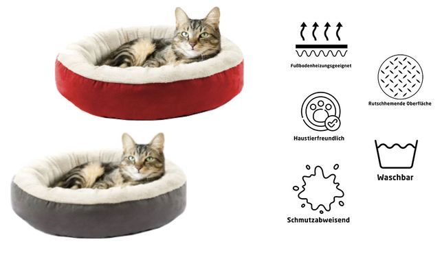 Gemütliches Katzennest