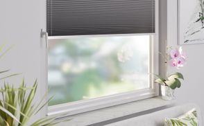 Fensterdekoration der ersten Klasse