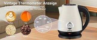 THERMOMETER SCHEIBE