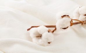 Atemberaubende Leichtigkeit und Atmungsaktivität