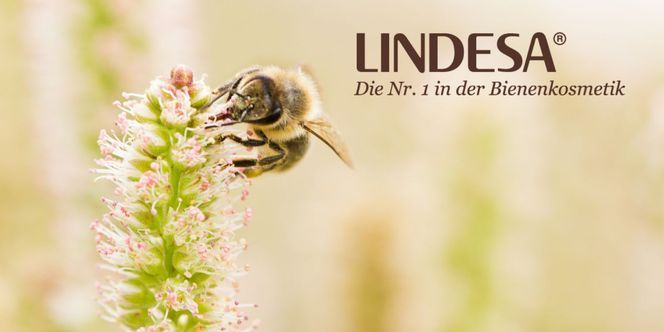 LINDESA® ist die Nr. 1 in der Bienenkosmetik