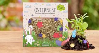 Ostergras