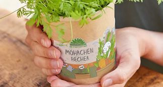 Möhrchen im Becher