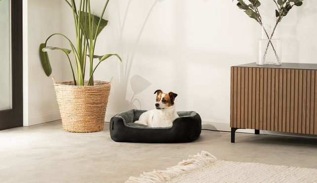 lionto Hundebett mit Wendekissen