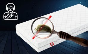Всеrgiker geeignet