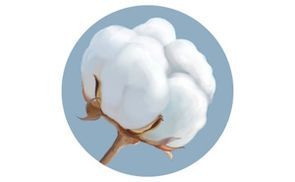 Hypoallergen für gesunden Schlaf