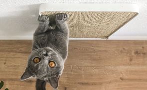Einfache Montage