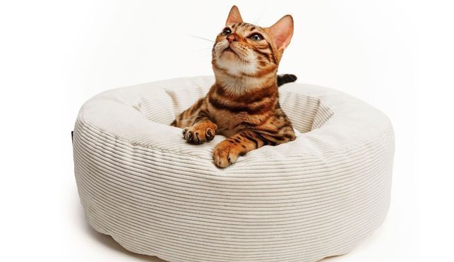 NEST Katzenbett – rund, weich, stilvoll.