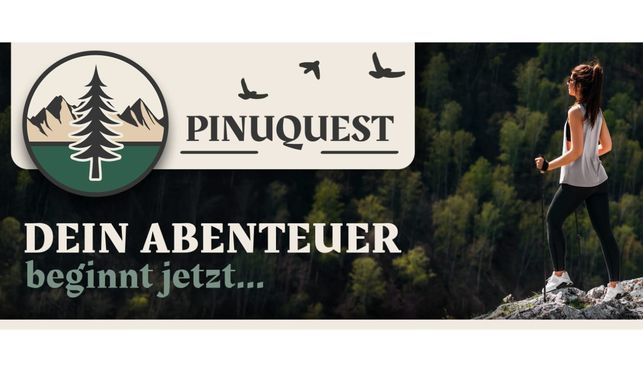 PINUQUEST Wanderstöcke aus Carbon für jedes Gelände