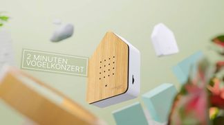 2 Minuten entspannende Natursounds