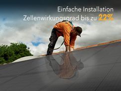 ZELLEBWIRKUNGSGRAD 22%