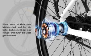 Bafang H700 Motor und Torque sensor 