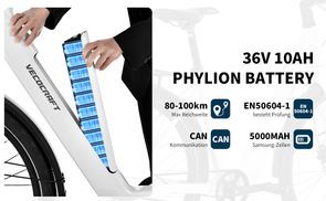 Phylion Batterie (EN50604 zertifiziert 