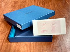 Эко-товарe und stilvolle Verpackung für Seidenkissenbezüge