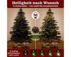 Wunderschöne Atmosphäre in den dunklen Abendstunden