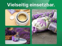 DIY Duftöl für Kerzen, Seife & Massagen