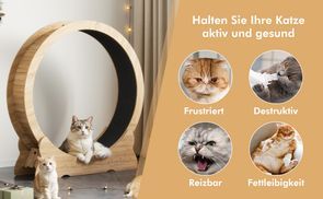 Für alle Katzengrößen