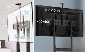 VESA und flexible Einstellungen